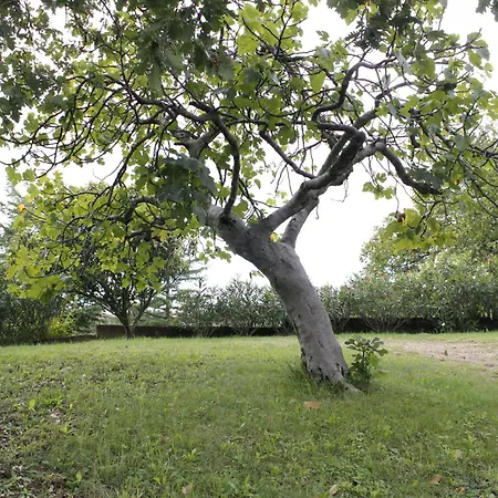 Apartma Hisica Na Morju