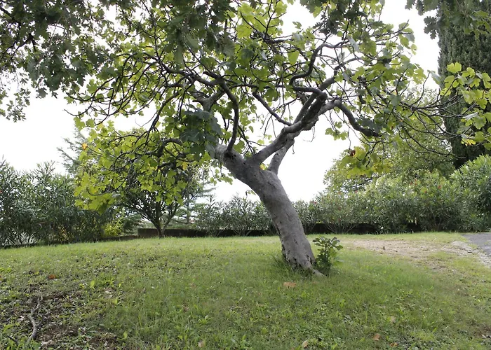 Appartamento Hisica Na Morju